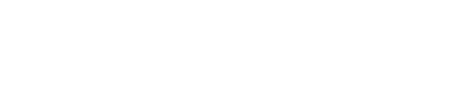 RTI Seatbelt Logo